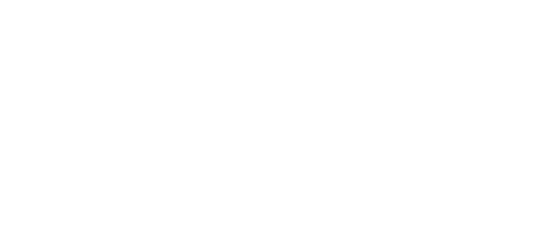 lemy logo